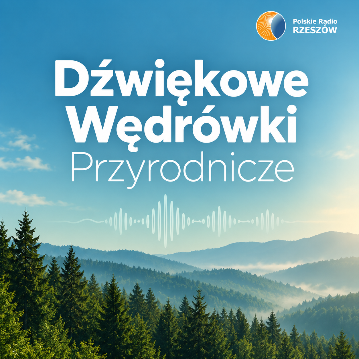 Rośliny mają ucztę. Deszczowa odsłona końcówki lata - Polskie Radio Rzeszów