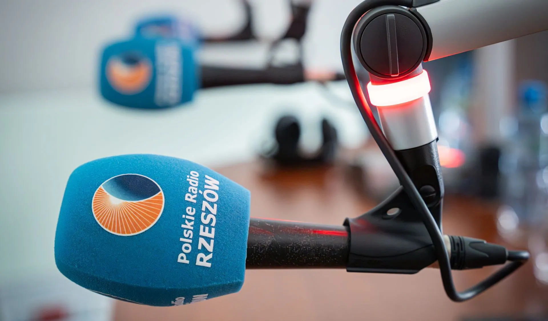 E. Marszałek: Akcja Jesień 2026. Leśnicy apelują do grzybiarzy - Polskie Radio Rzeszów