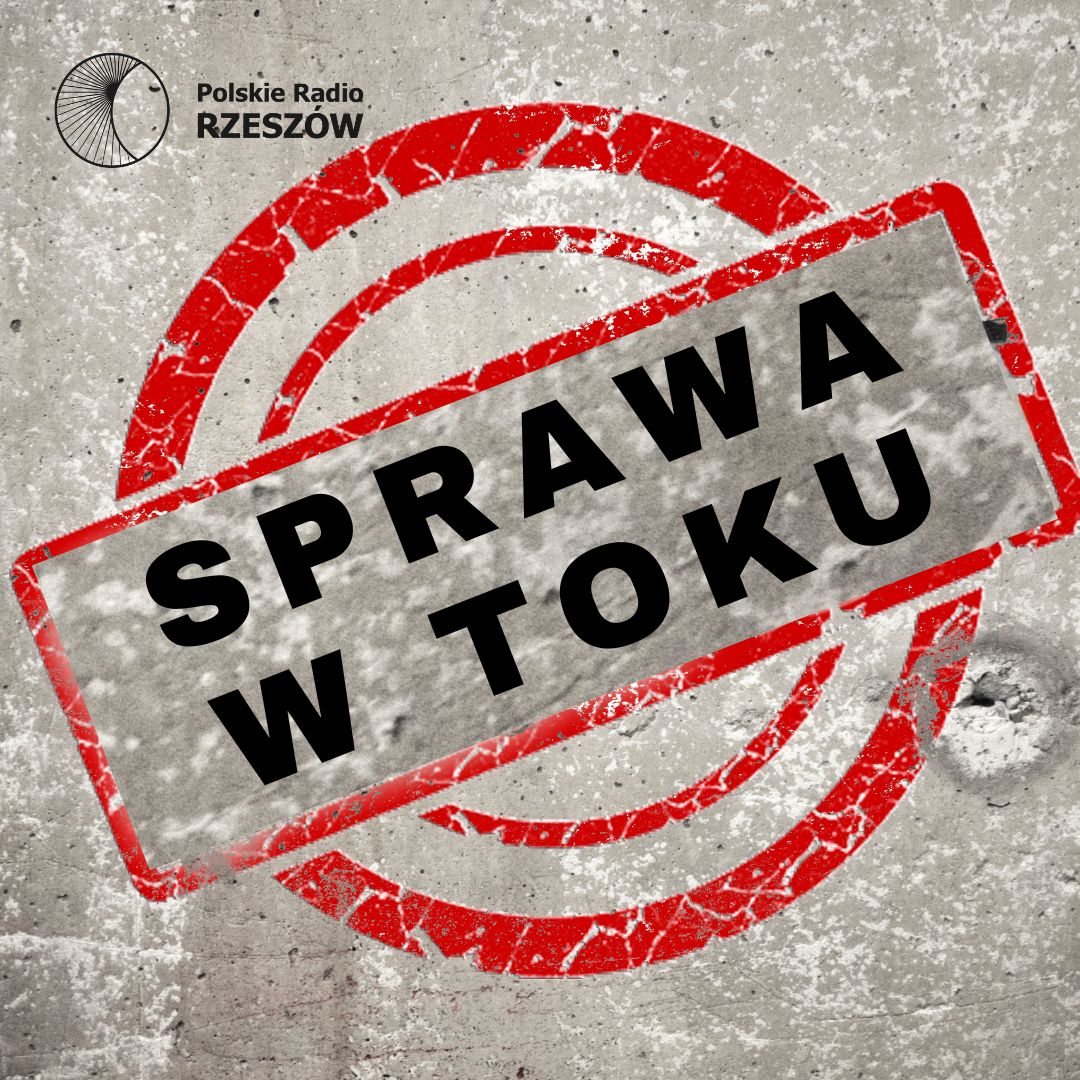 Pociągi przejeżdżają, ale się nie zatrzymują. Mieszkańcy Brzeźnicy walczą o przystanek - Polskie Radio Rzeszów
