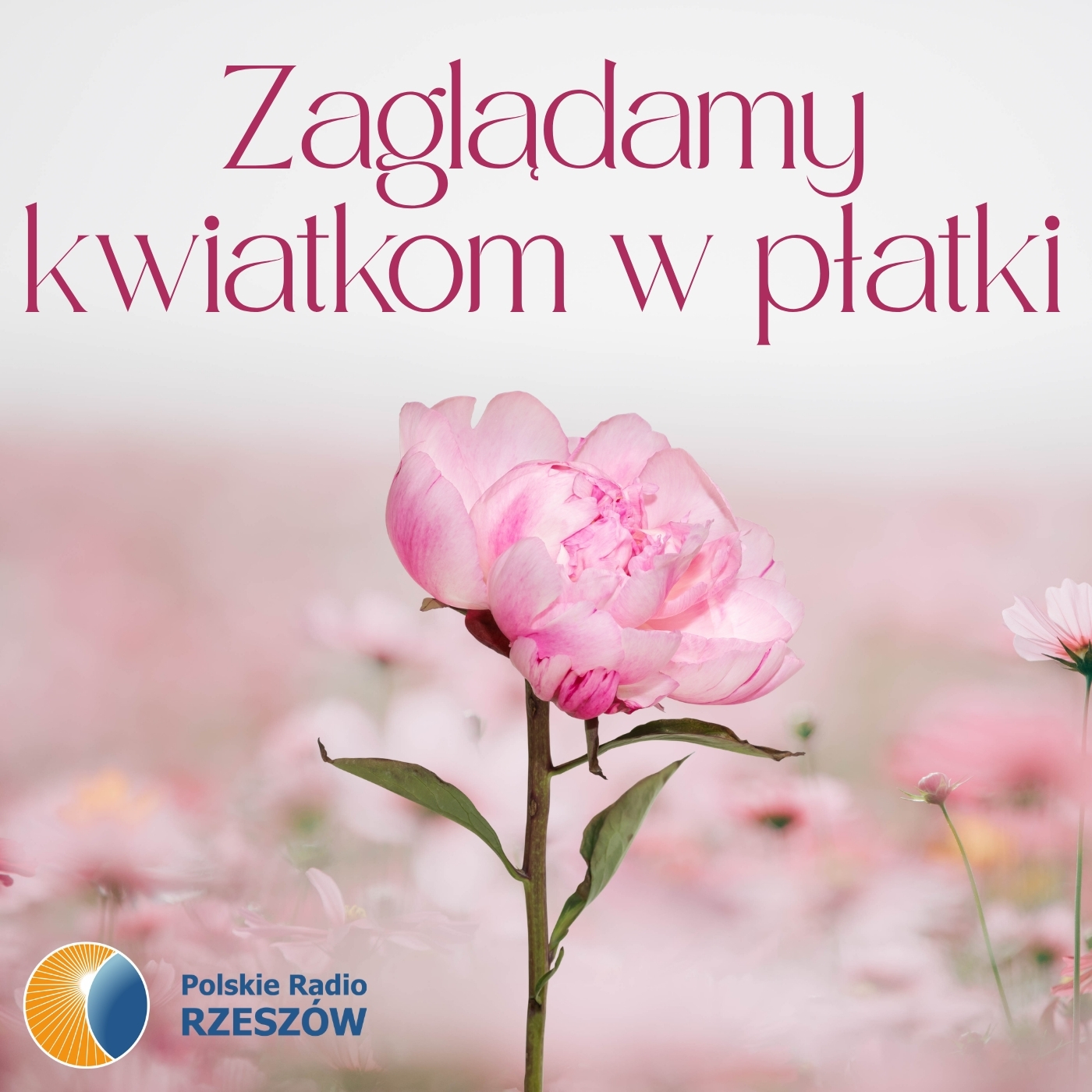 Jesienne nawożenie roślin. Jak przygotować ogród do zimy? - Polskie Radio Rzeszów